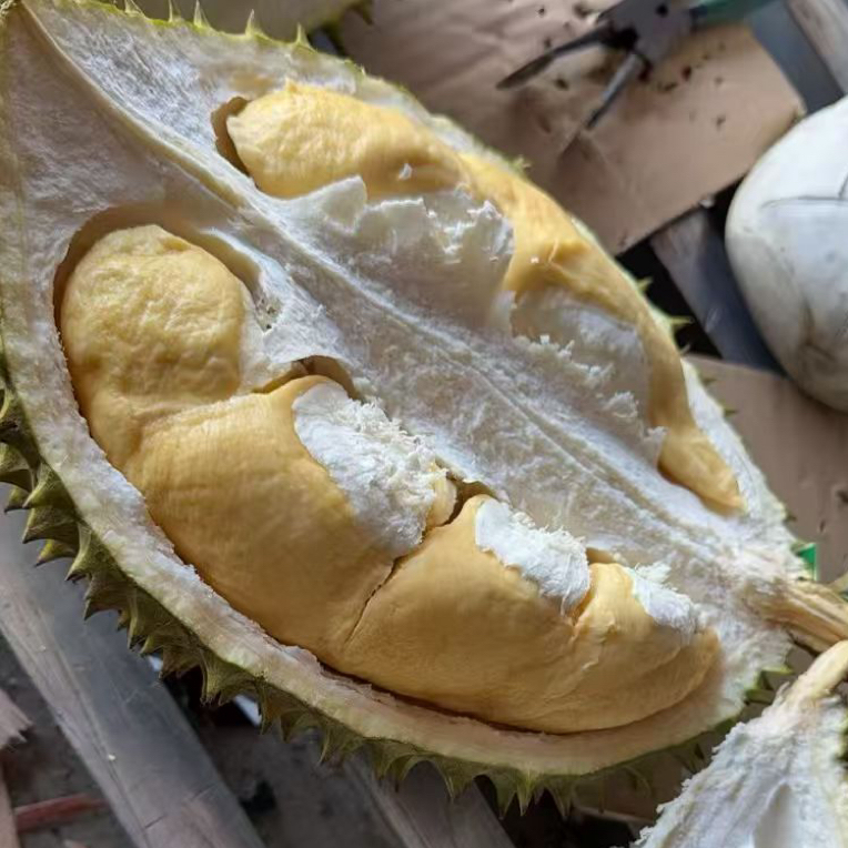 干尧鲜榴莲（一物一拍称公斤）核大干尧越南