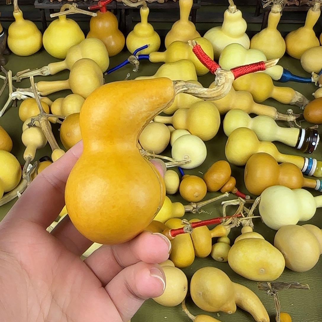 回**穹ehsshshshshshshshshshsh