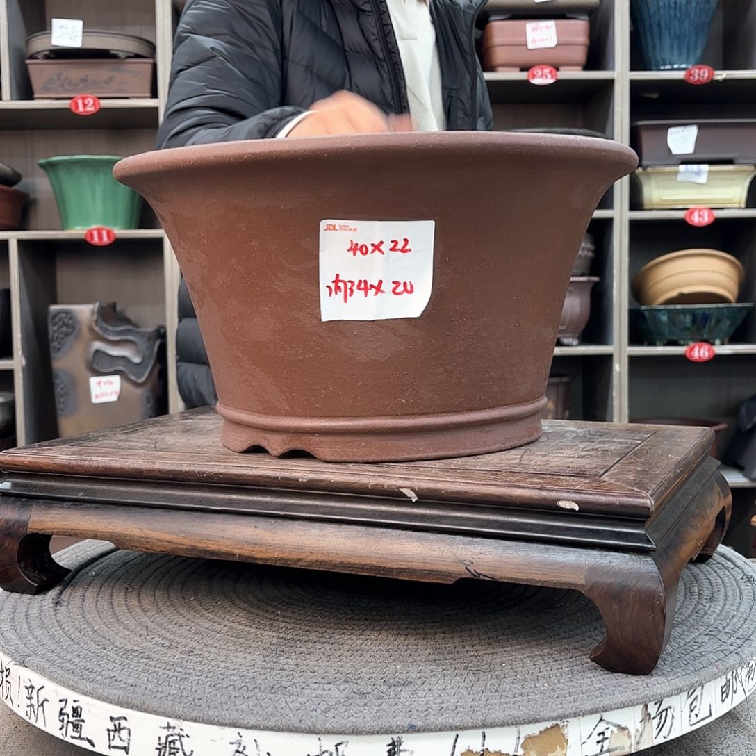 紫砂花盆紫砂的花也太