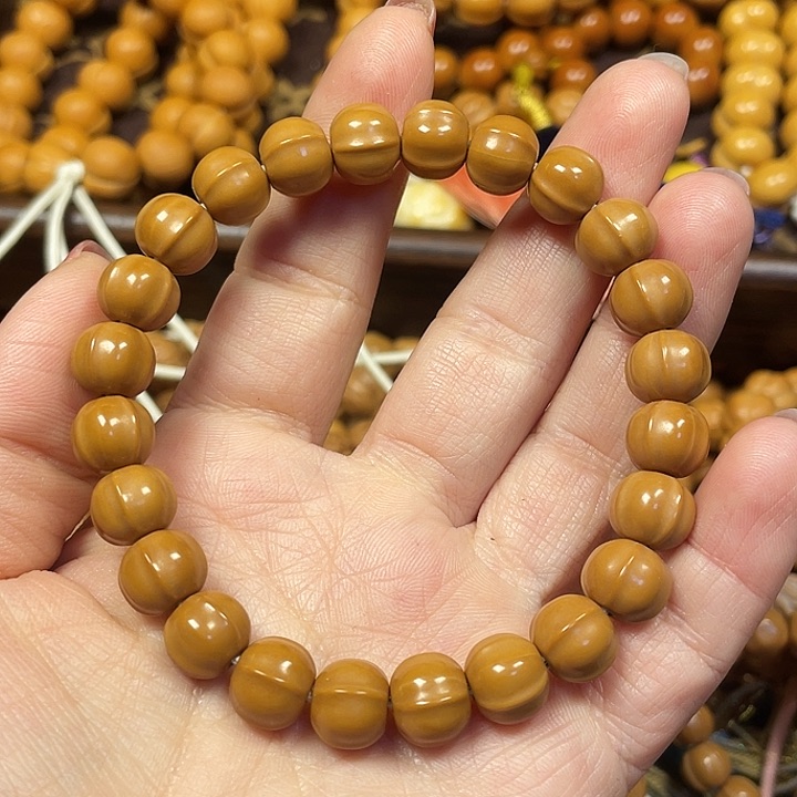 木全品小鲨鱼。    