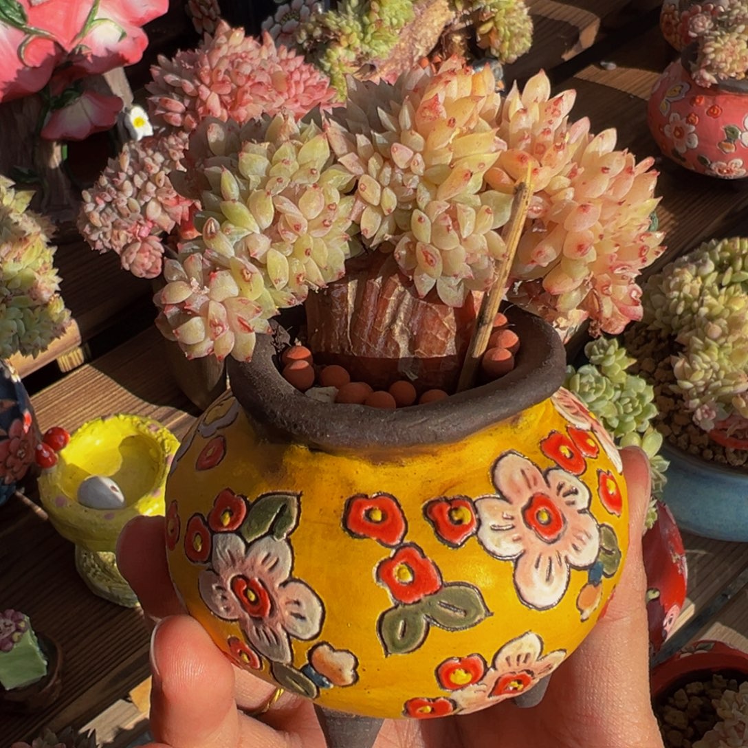 黄钻冰魄缀天天开心