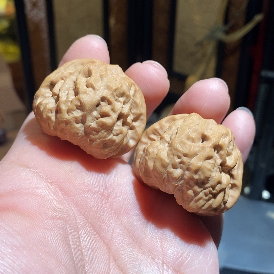 文玩核桃把件40蛤蟆头全品