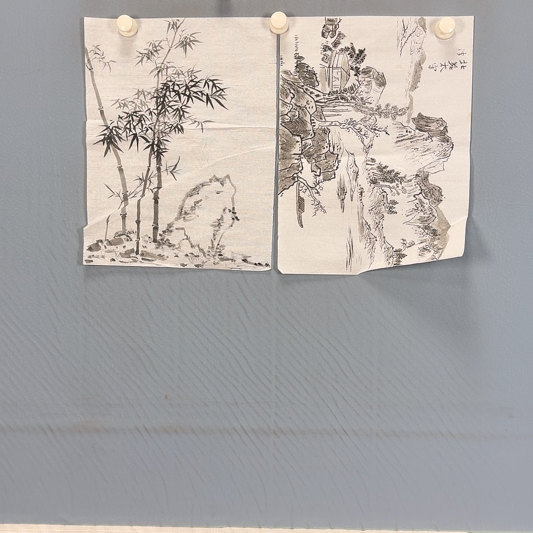 国画241 牡丹一如您初来乍到