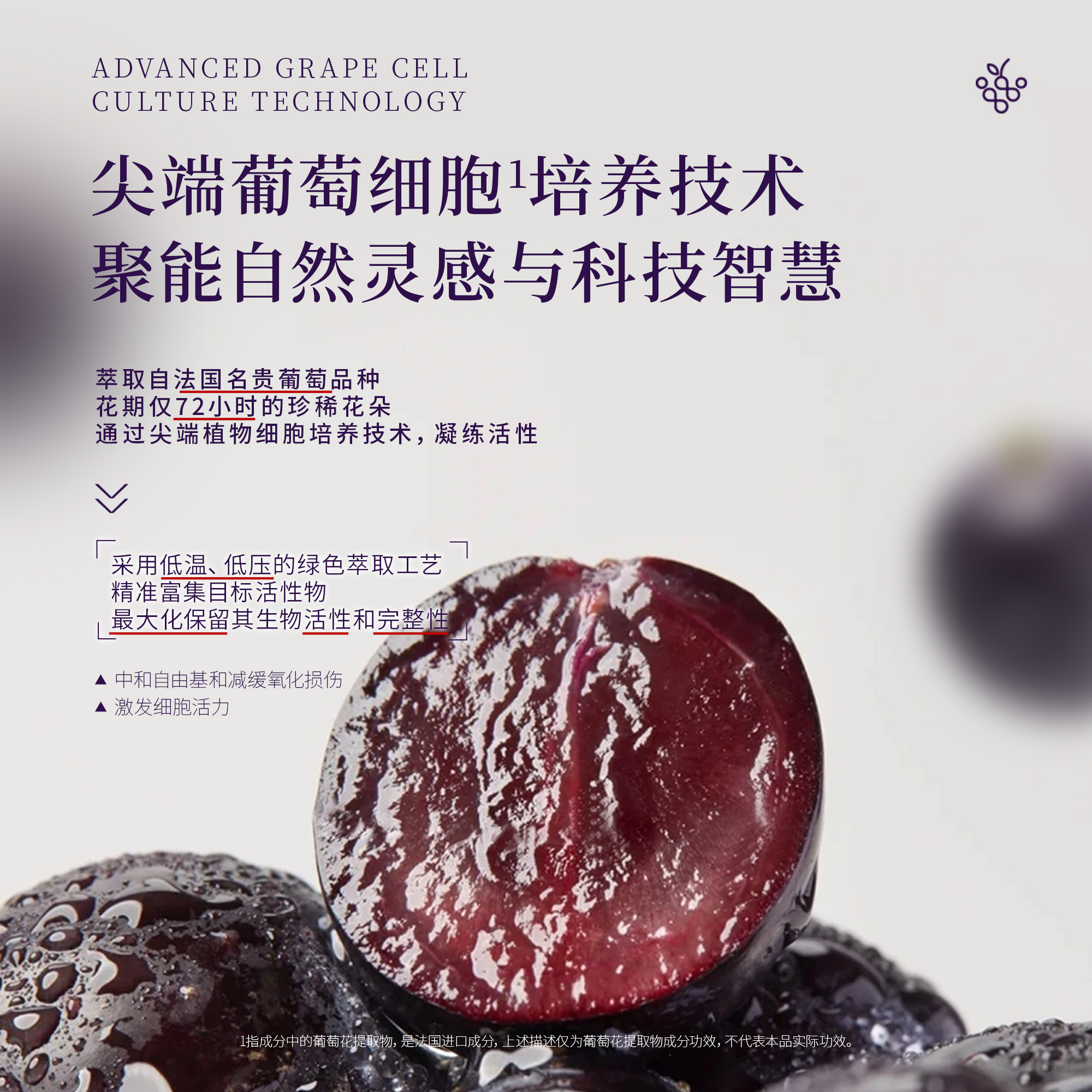水木郡羚法国葡萄花冻存聚能液120ml紫钥匙银离子胶原提肌乳100ml