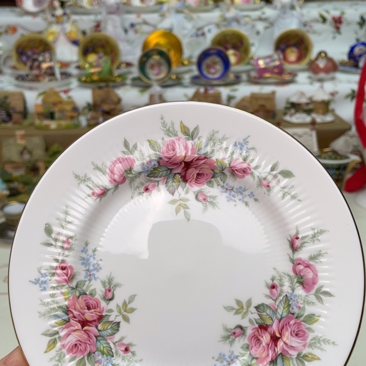 盘维多利亚欧洲中古