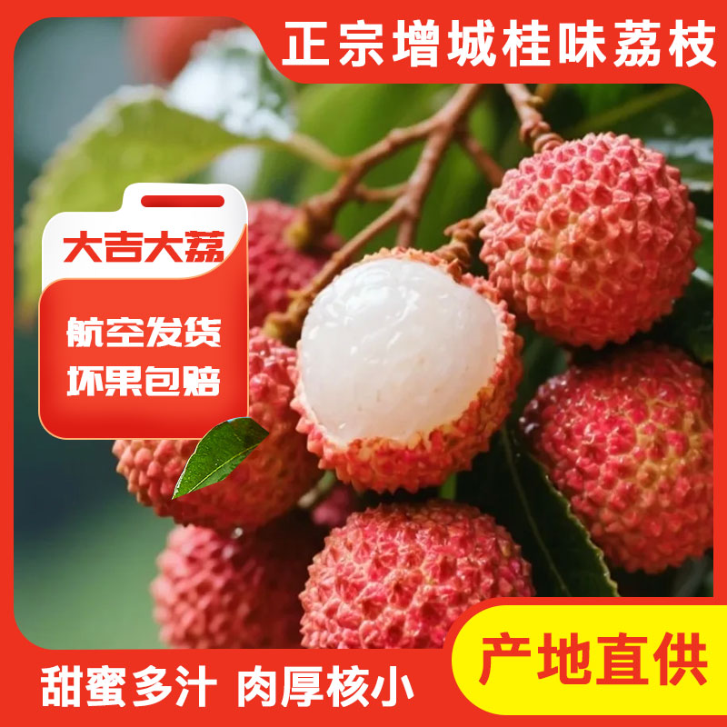 增城桂味荔枝【空运冷链专线】老树桂味荔枝新鲜应季水果果园直发荔枝同城送