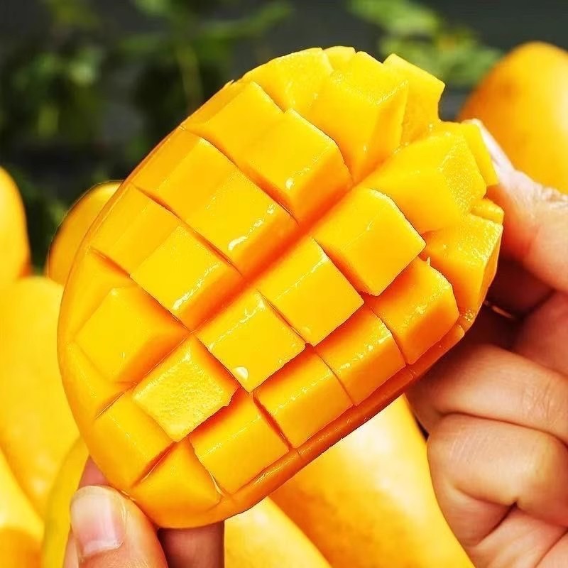 q (高山特大果)（助农补贴）芒果台农芒果新鲜产地直发云南老树大芒