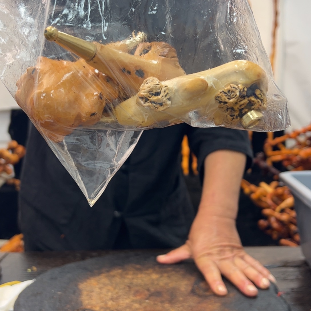 其他黑果木黑果木373