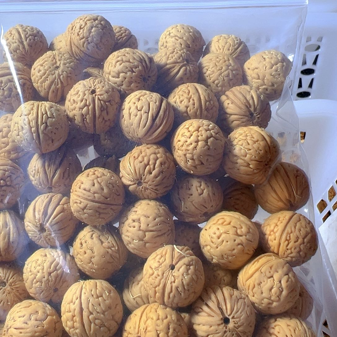 阳***雪桃核吊坠南瓜桃核散籽