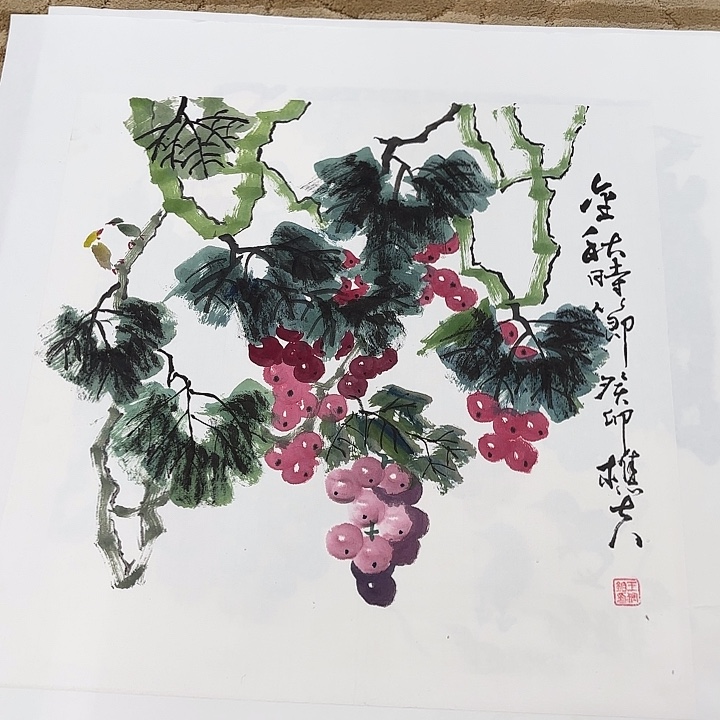 国画花鸟等多种鸟类和鸟类