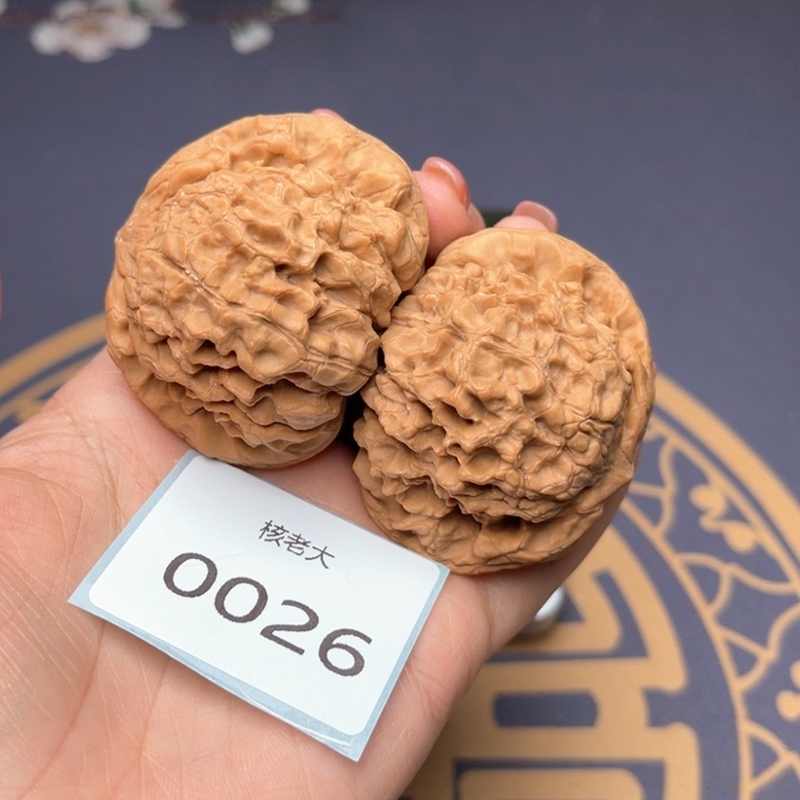 文玩核桃把件51龙鼎