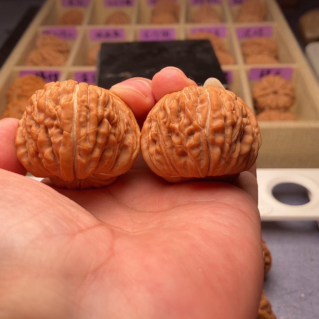 土***才文玩核桃把件至尊楼