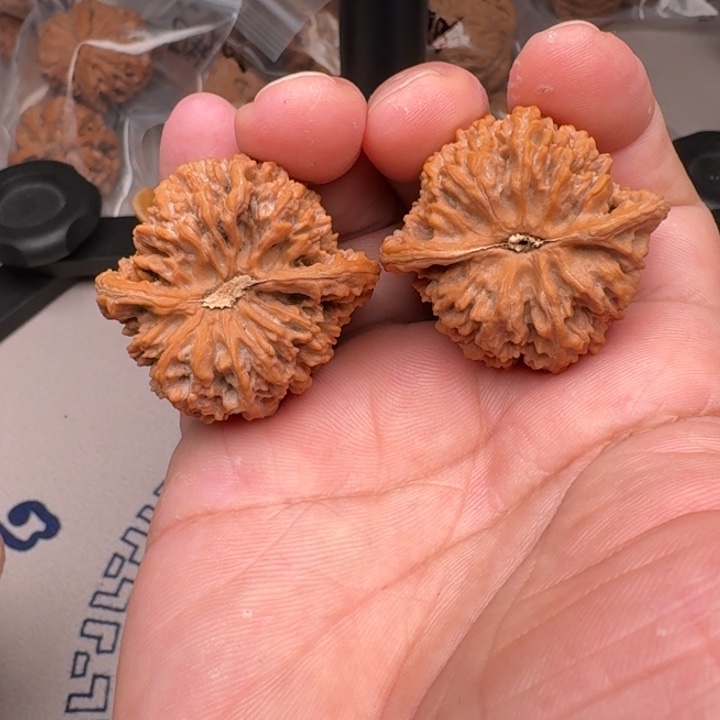 桃核把件山地满天星39+尺18