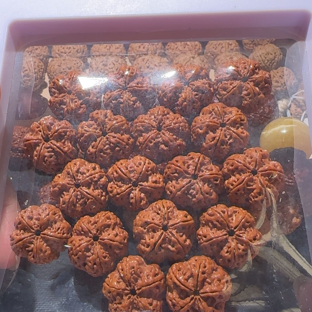 金刚菩提手串22梅花