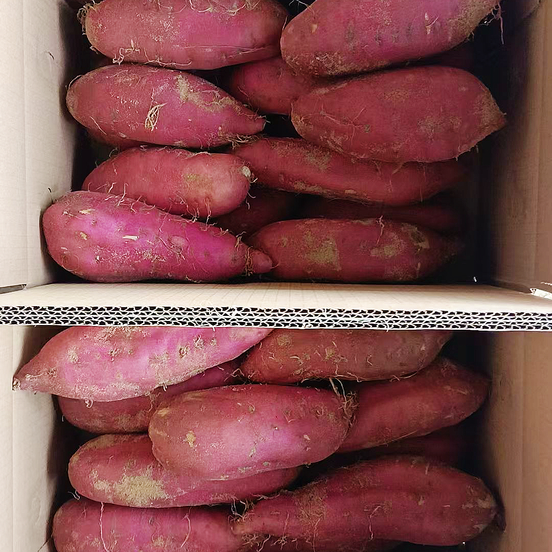 正宗海南澄迈桥头富硒红薯地瓜新鲜沙地现挖