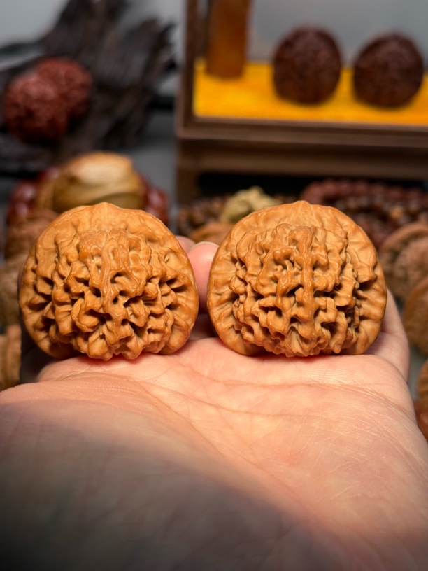 文玩核桃-42尺寸秦闷