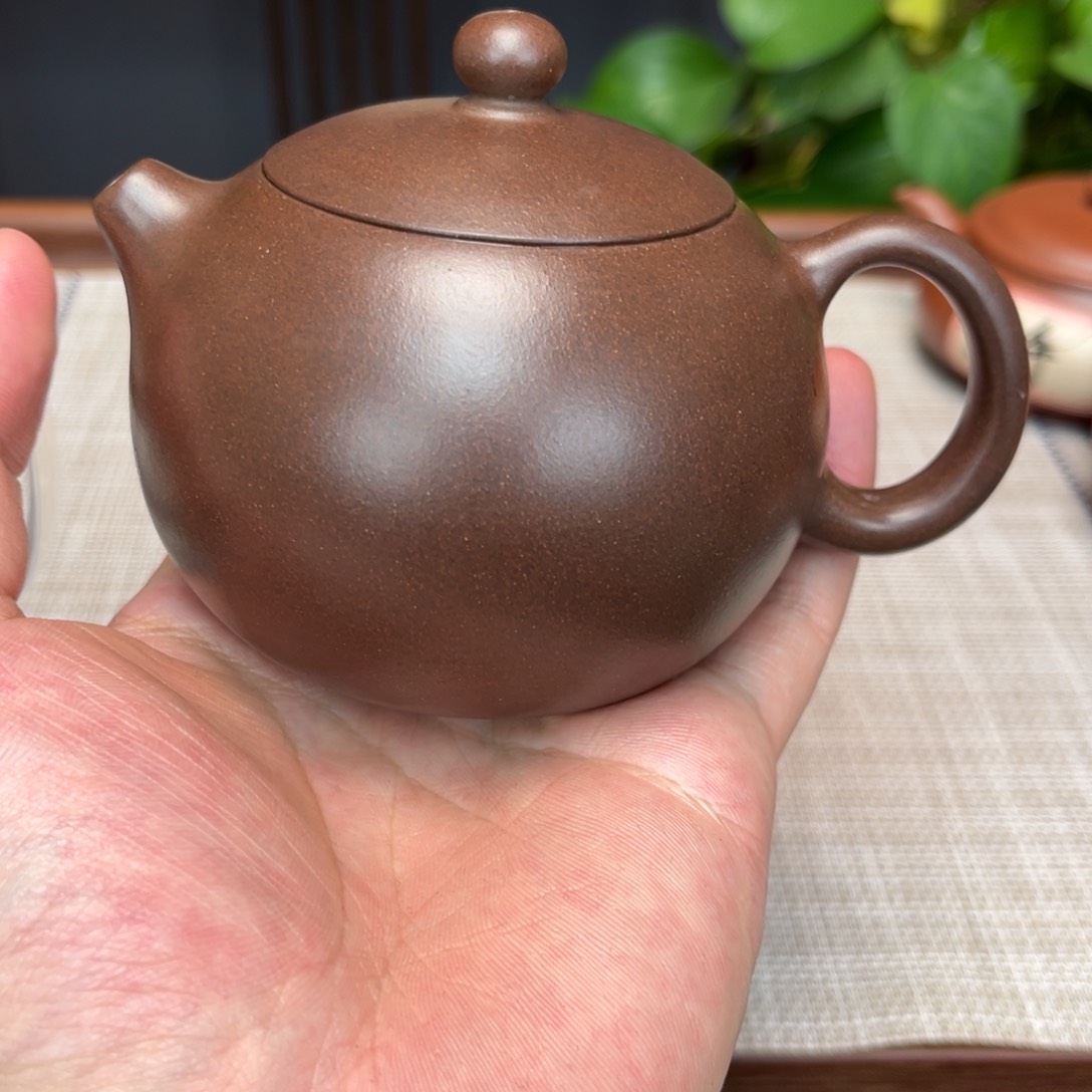 紫砂茶壶一***虫宜兴紫砂