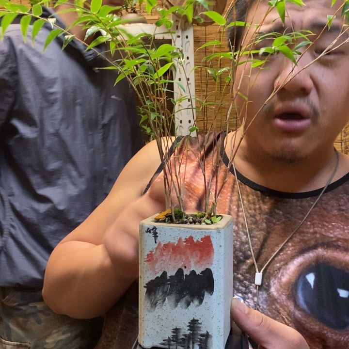 一物一拍所见即所得400