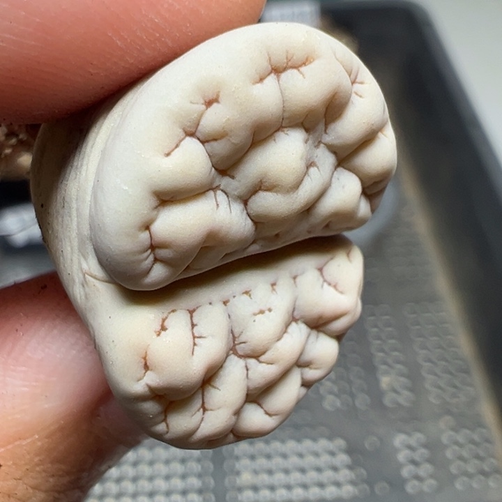 【闪购商品】1113……