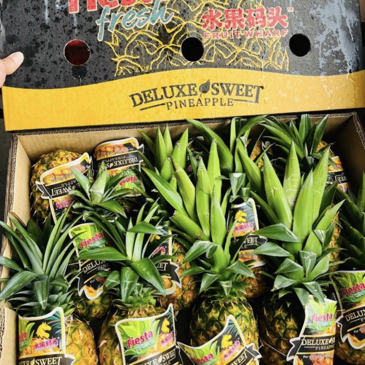 水果码头凤梨（2-3)枚毛重4斤左右金菠萝甜度高金菠萝菲律宾共和国