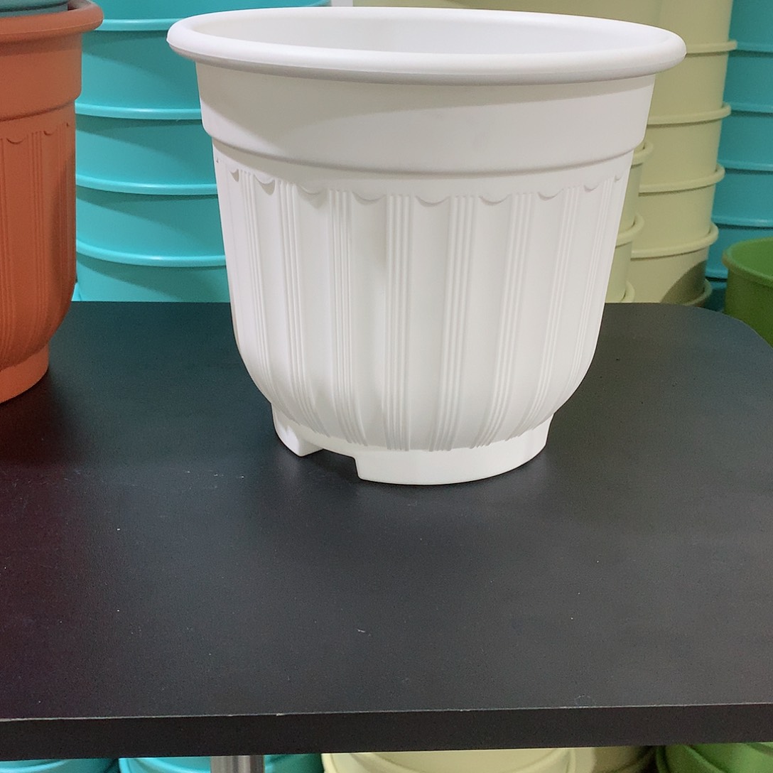 树脂罗马口21白色4个无托