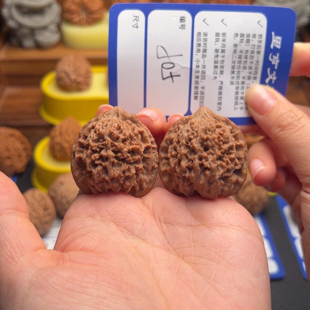 核桃505全品满天星36尺