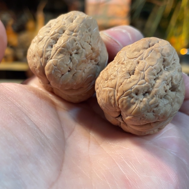 把件文玩核桃编号2