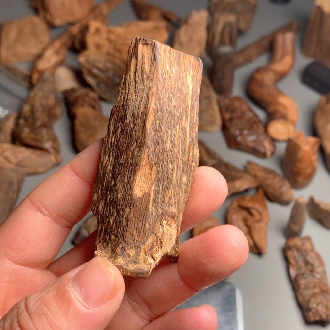 【闪购商品】扇子沉香沉香沉香沉香沉香