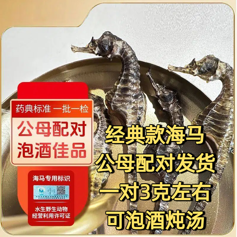 【1对3克左右】公母配对发货 可炖汤可泡酒 【经典款海马】