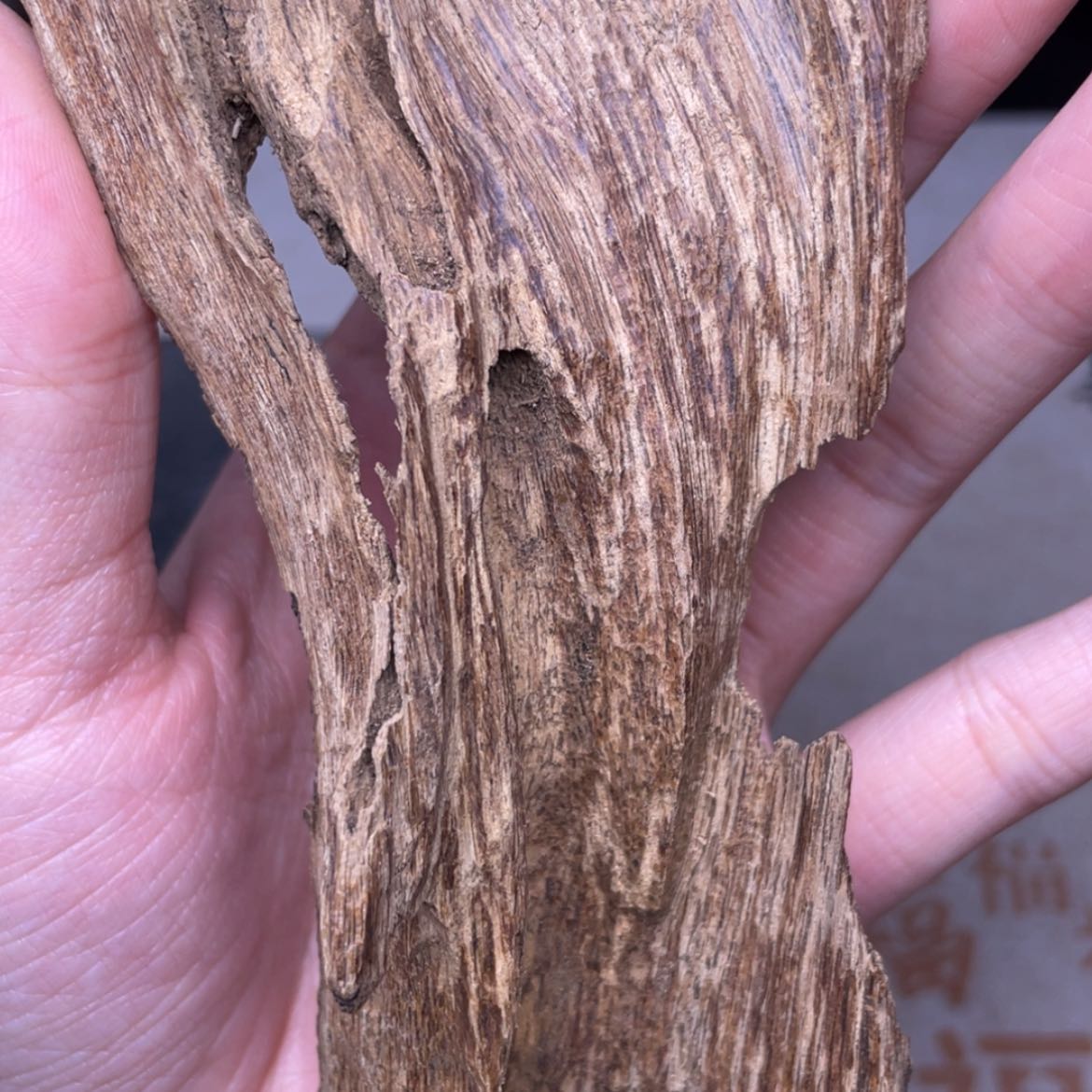 【闪购商品】香榧木海南琼中根部香22克