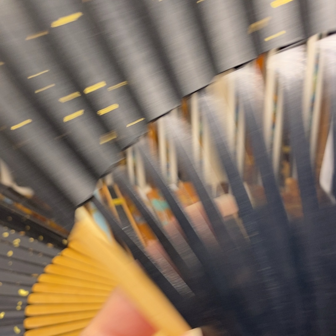 扇子苍*海徐林阳紫竹乌木小骨