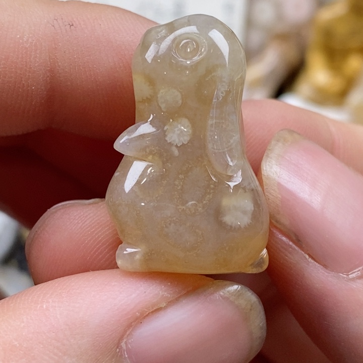 颈饰未镶嵌硅化珊瑚（珊瑚玉）小