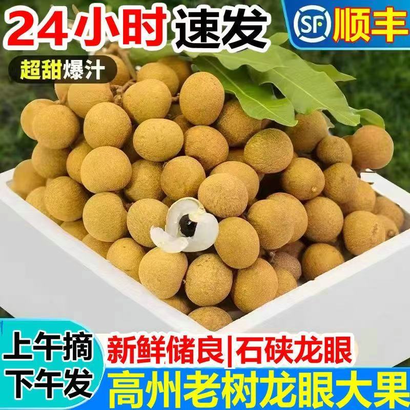 【顺丰现摘】老树储良广东高州产地龙眼桂圆现摘现发当季水果清甜