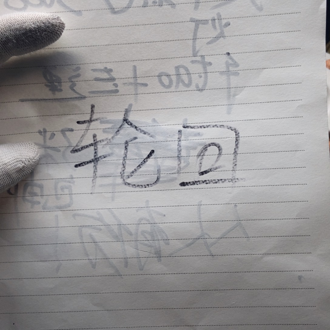 啥***是凤眼菩提吊坠实心轮回定制