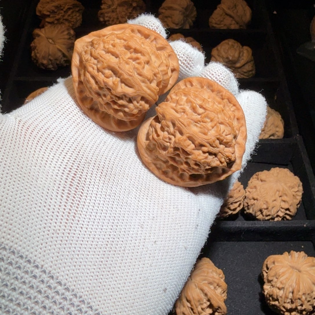 薯***条文玩核桃把件897全品无修金牛狮子头高端品种