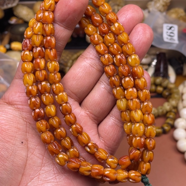 驼骨其他人共养殖