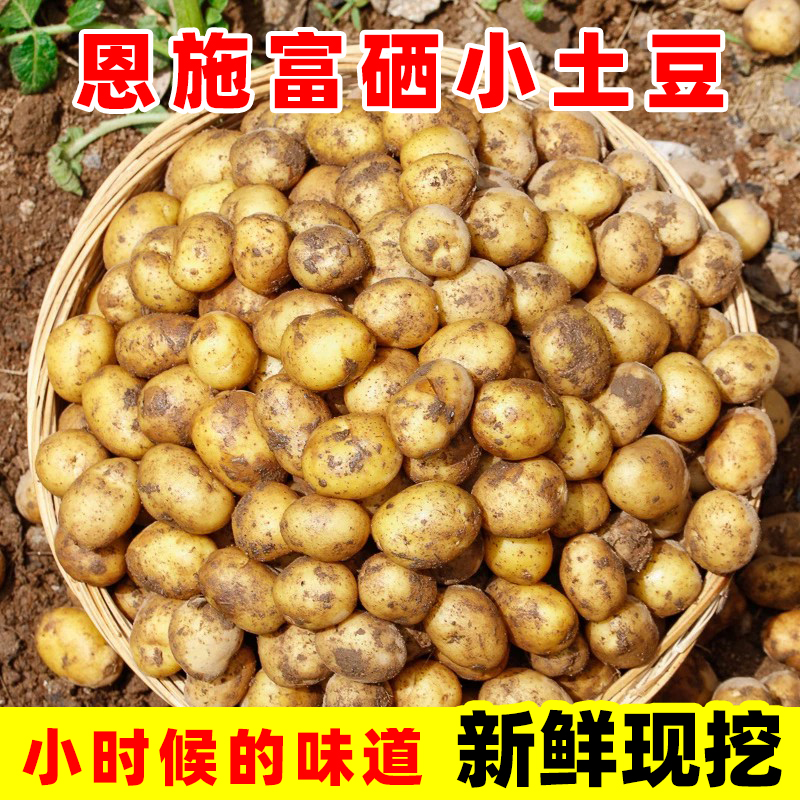 湖北恩施新鲜小土豆现挖黄皮黄心土豆马铃薯粉糯洋芋农家自种