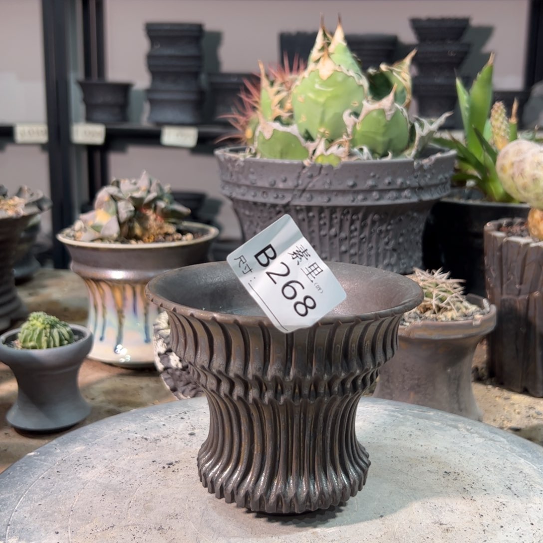 景德镇手工素里口12高10