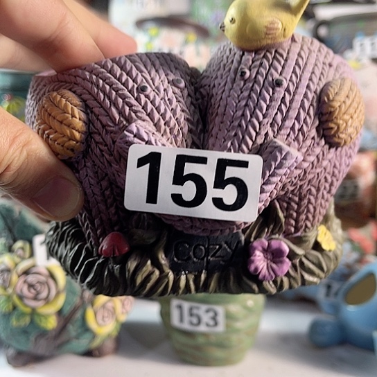 红陶多肉植物花盆