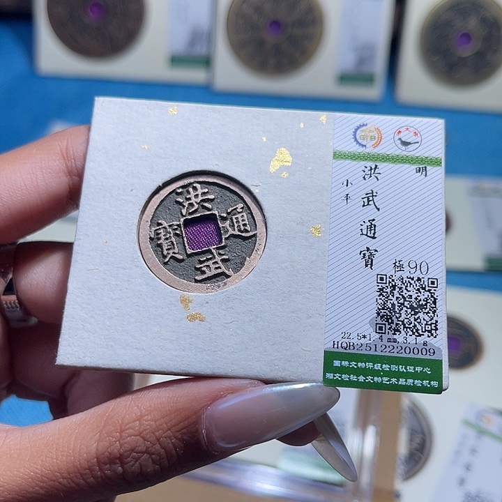 小***儿铜福宝洪武通宝0009