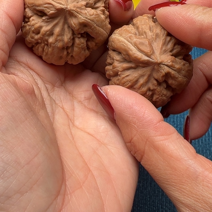 吊坠桃核文玩霸王龙