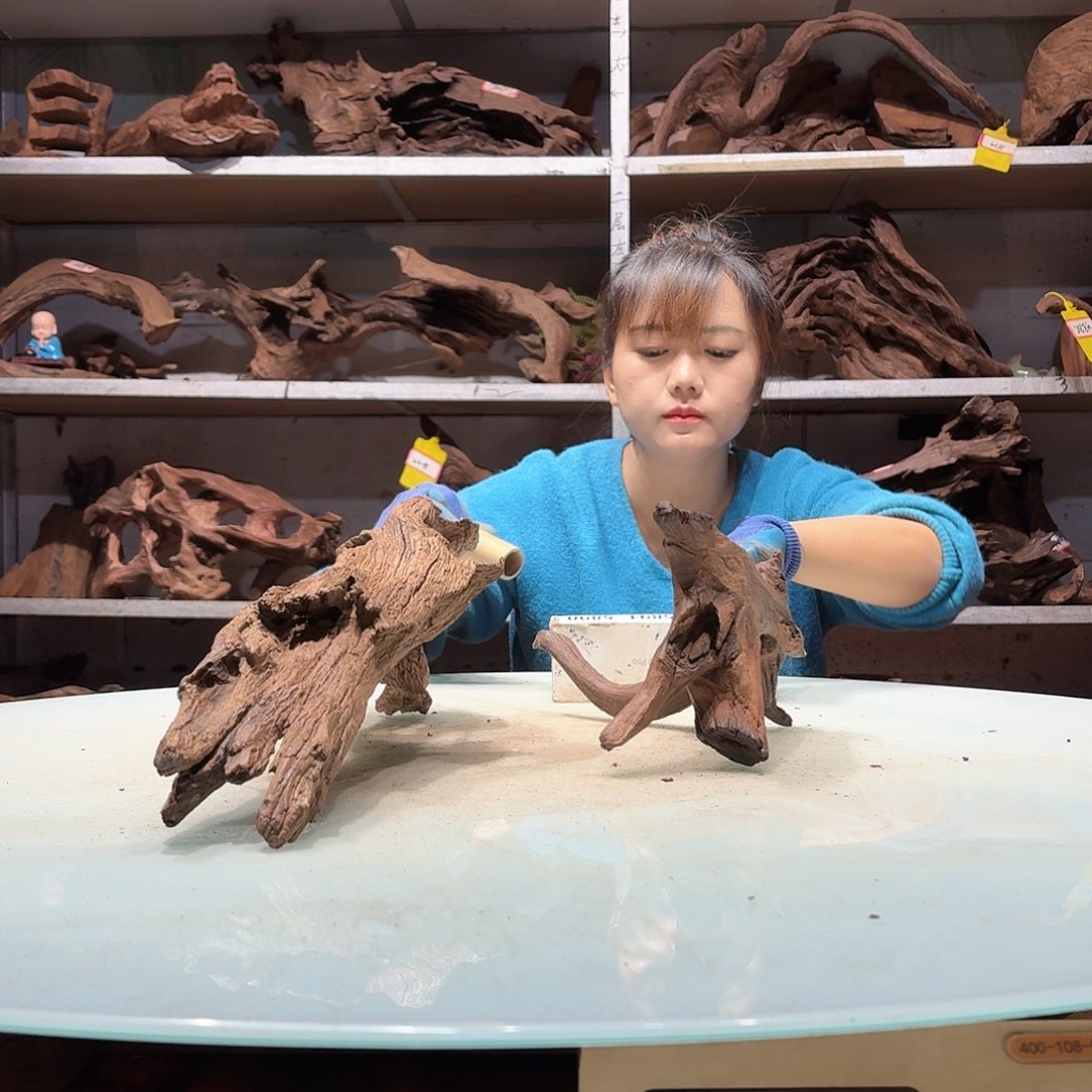 倍褚沉木不包损必褪色随*起5877-2