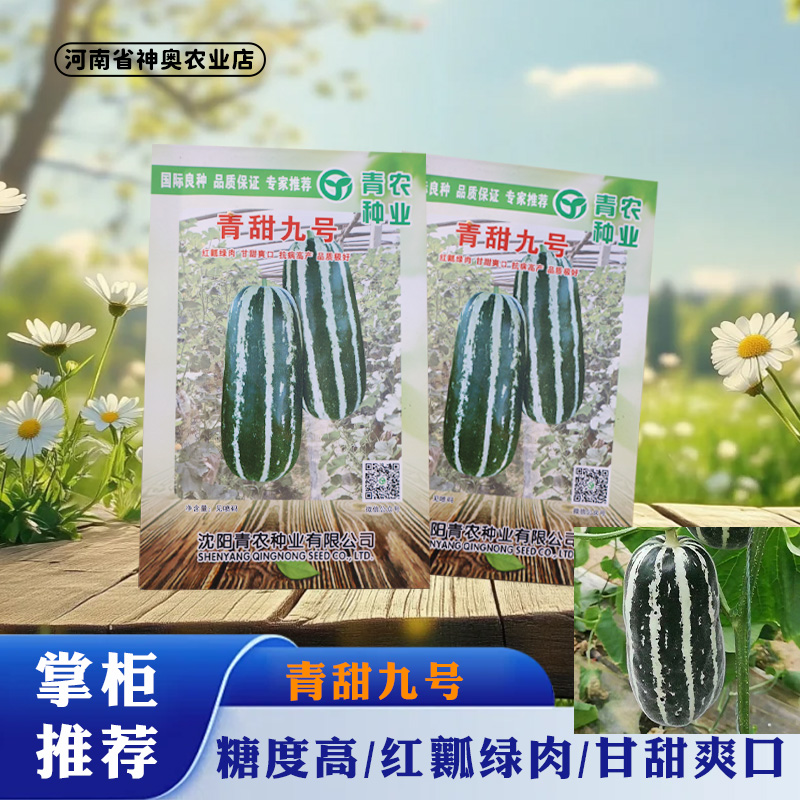 博洋系列/青甜九号/红壤绿肉/甘甜爽口/糖度高/口感酥脆甜瓜种子