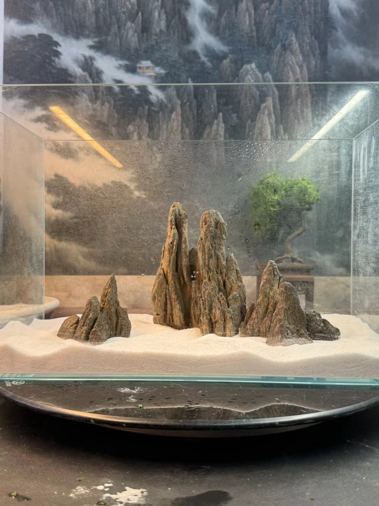 1123盆景鱼缸造景长25*宽13*高16