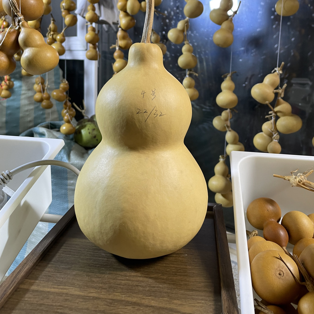 4号稳坐四六奶嘴八宝葫芦净高22左右
