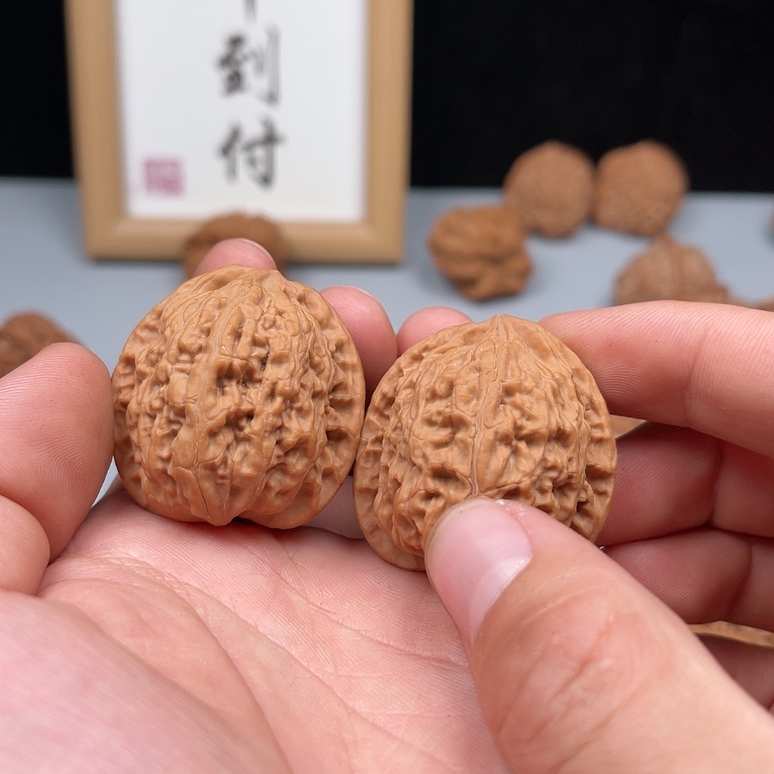 核桃野生原树黄金虎