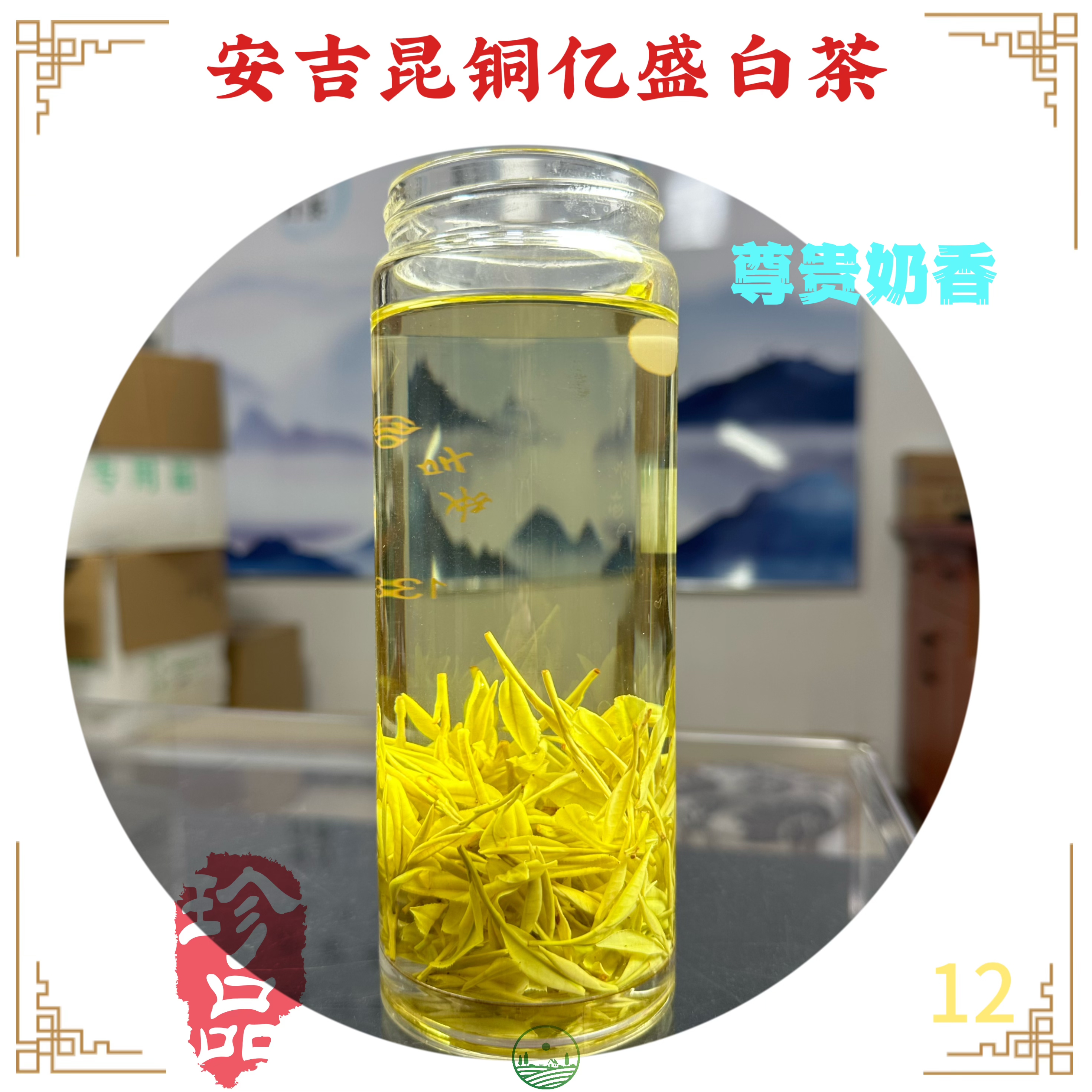 【2025新茶】招牌高山手工熊猫奶白茶.奶香馥郁回甘鲜甜