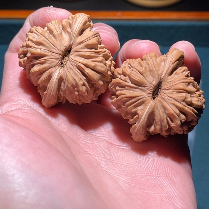 文玩核桃把件之*張40楼子毕业对