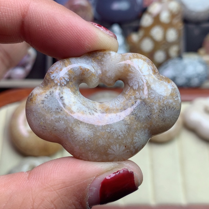 硅化珊瑚（珊瑚玉）颈饰未镶嵌