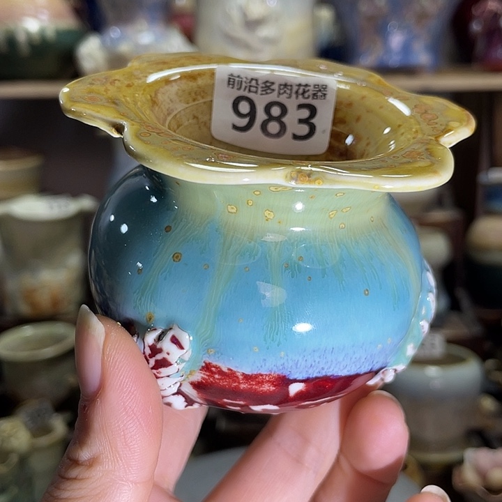 狼盆内口径5高度6